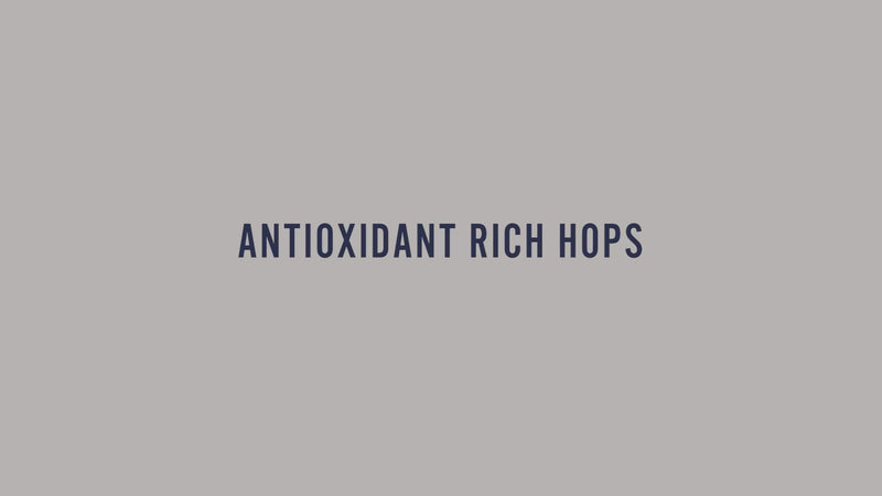 Antioxidant Rich Hops
